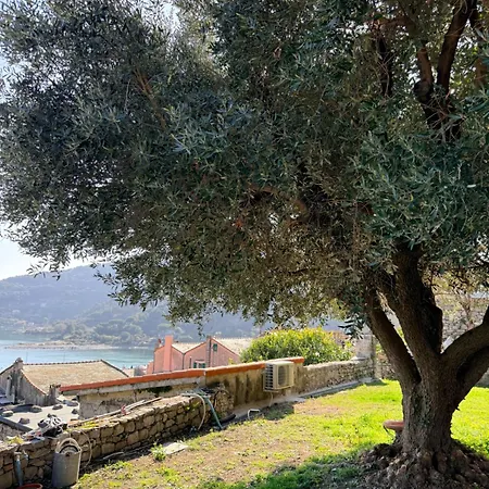 Le Streghe Di Venere بورتوفينيري