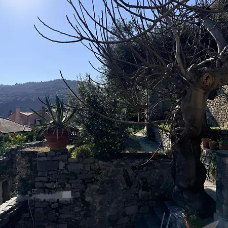 فيلة Le Streghe Di Venere *