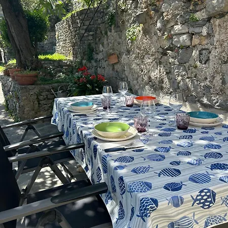 Le Streghe Di Venere