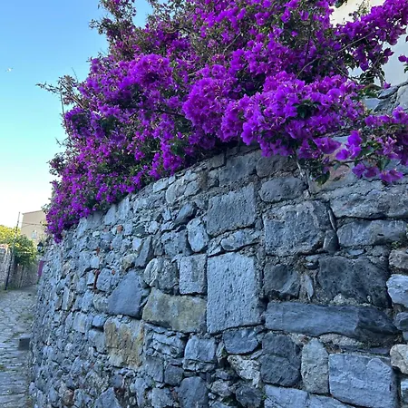 Le Streghe Di Venere Villa *